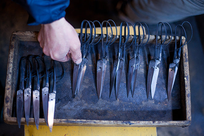 梅木本種子鋏製作所 | 種子鋏が入荷しました