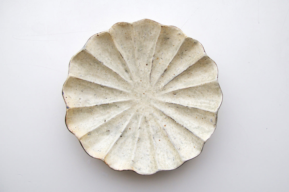 鈴木史恵 キッカ鉢(大)