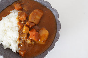 鈴木史恵 カレー皿 ペイズリー 鉄